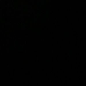 Meet your Posher, Jake